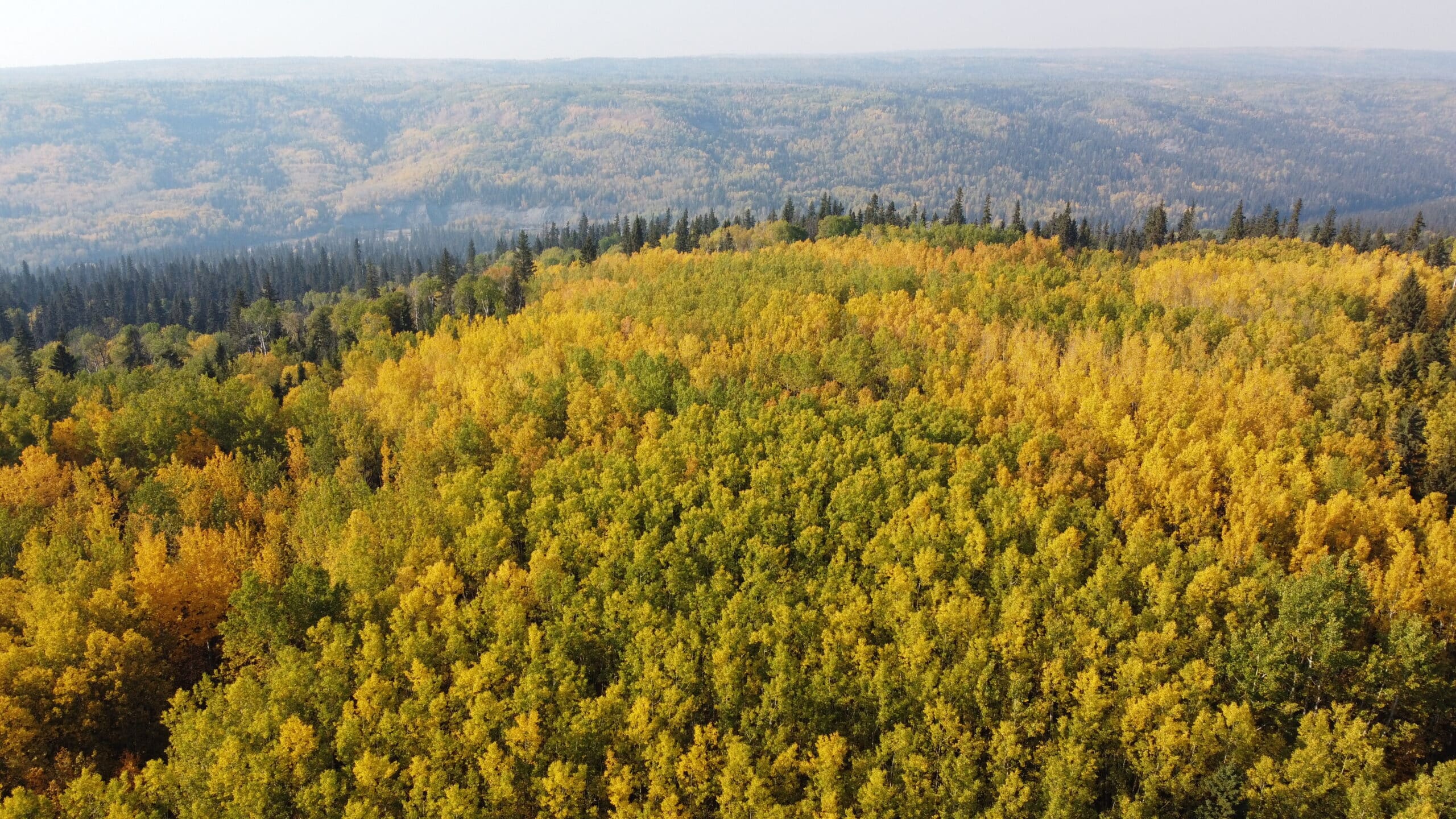 Featured Image For “Cpaws Northern Alberta”
